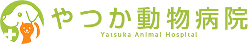 埼玉県草加市谷塚 やつか動物病院